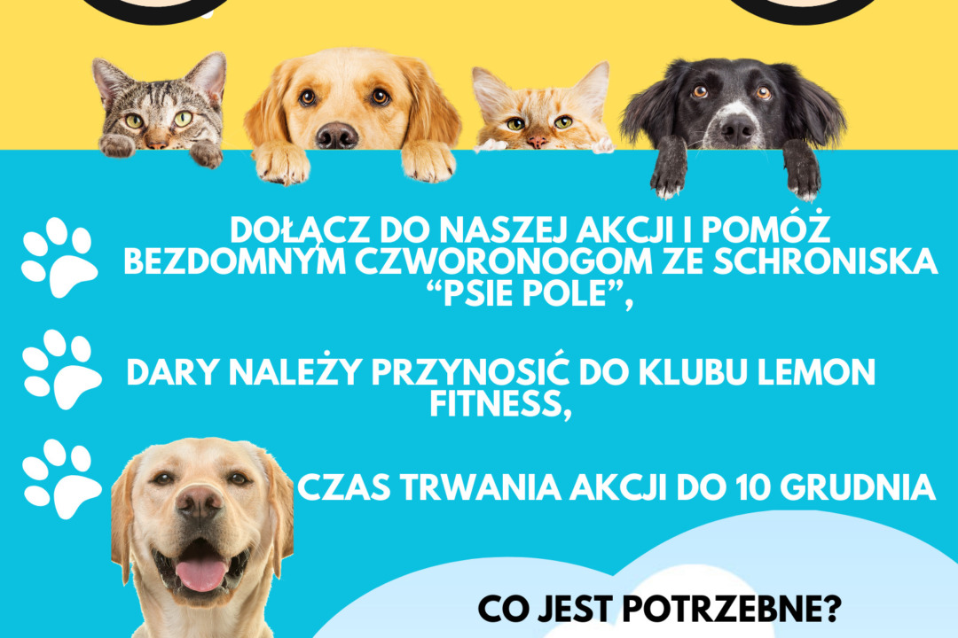 Zbiórka żywności dla pupili ze schroniska „Psie Pole” 🐕